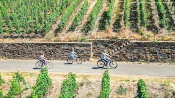 jufa bernkastel kues