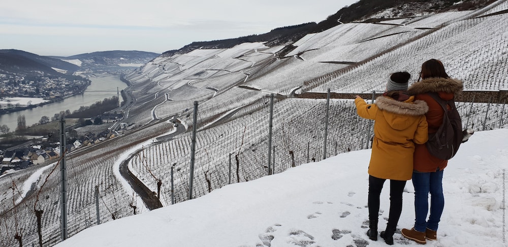 jufa bernkastel kues