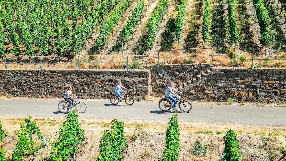 jufa bernkastel kues