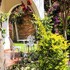 casa hotel mamaluna