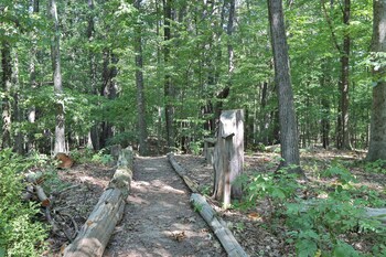 moondance ridge bed and breakfast