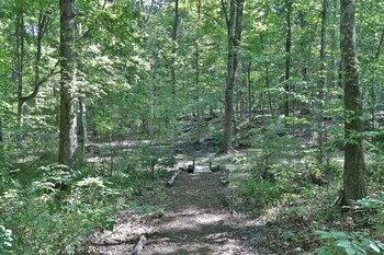 moondance ridge bed and breakfast