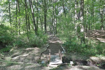 moondance ridge bed and breakfast