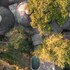 hoedspruit