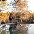 hoedspruit