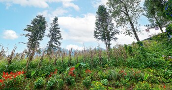 charm hill sapa hotel