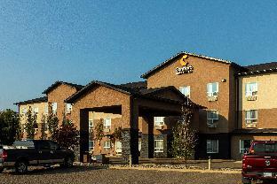 comfort inn and suites
