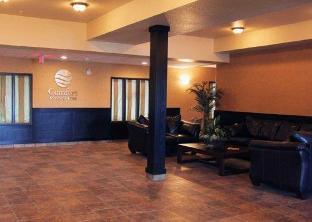 comfort inn and suites