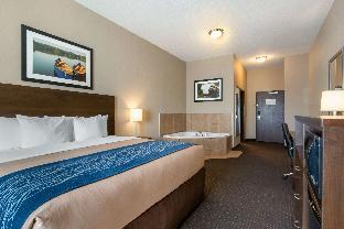 comfort inn and suites