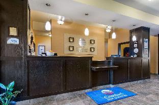 Comfort Inn & Suites,Reston>>Brandon,2 star