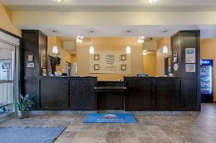 comfort inn and suites