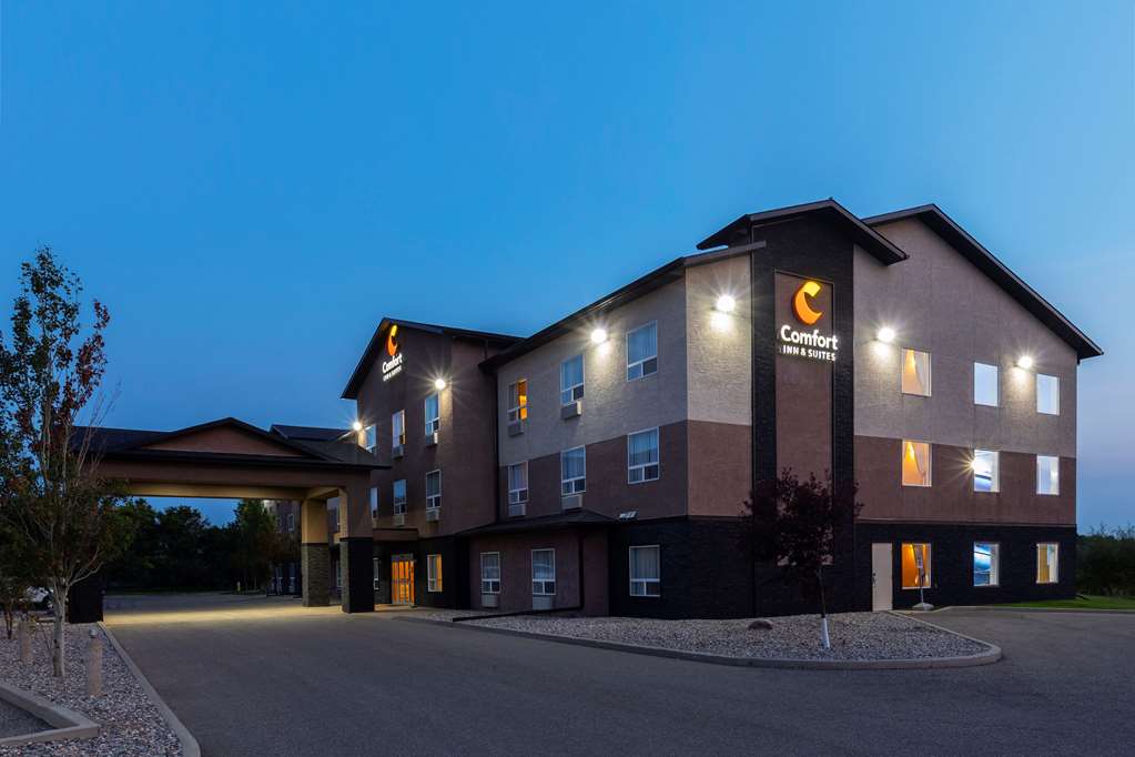 comfort inn and suites