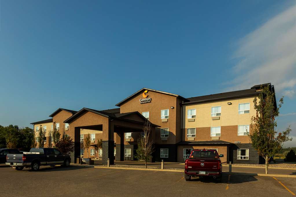 comfort inn and suites