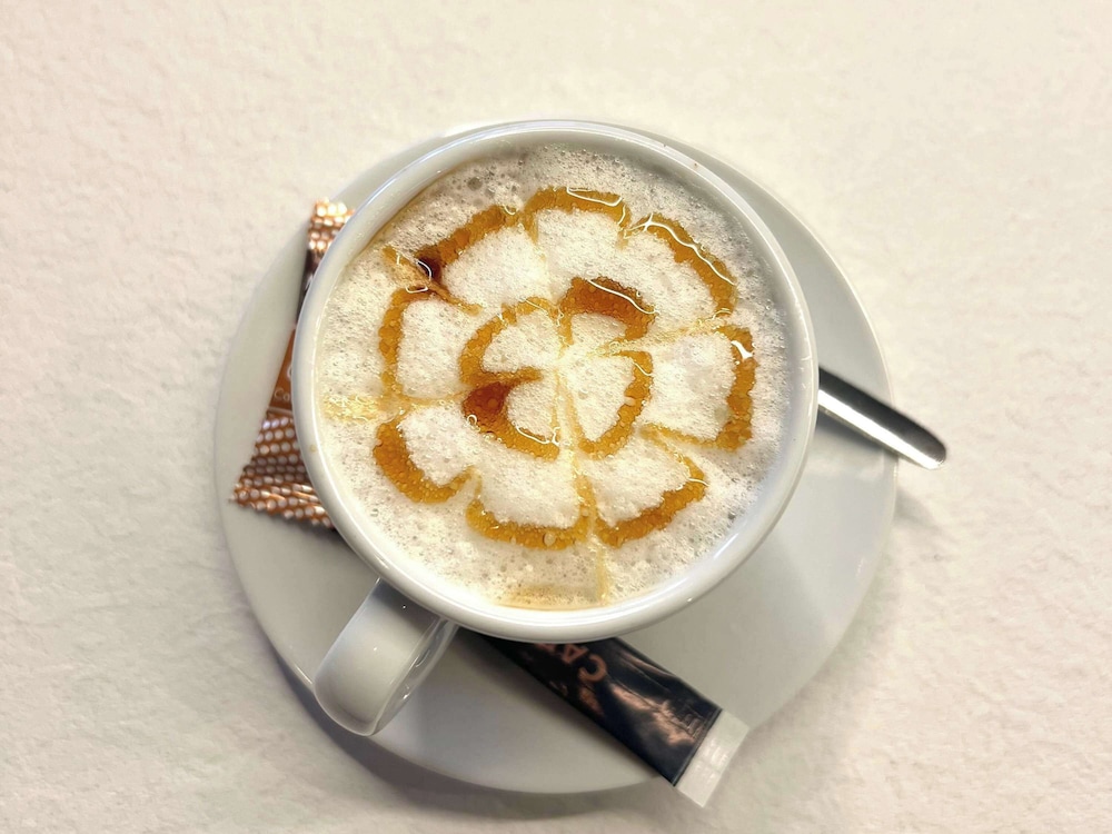 greet hotel brest aeroport