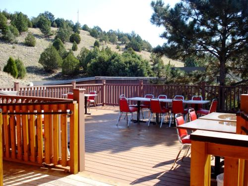 super 8 by wyndham newcastle