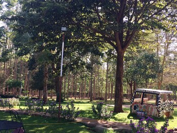 kilemakyaro mountain lodge