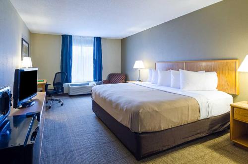 quality inn