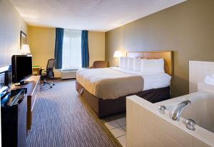 quality inn