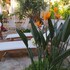 mylopotamos