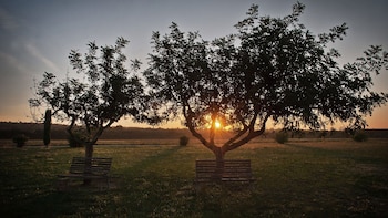 avinyonet de puigventos