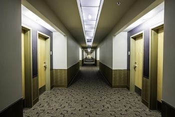 spark by hilton artesia