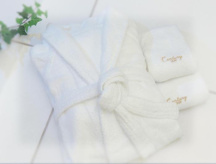 odakyu hotel century sagami ono