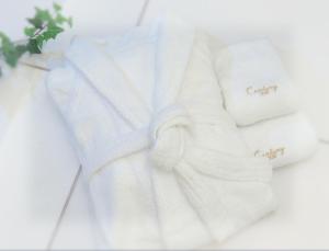 odakyu hotel century sagami ono