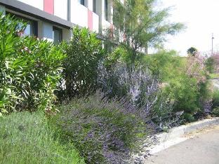 residence hoteliere des ondes