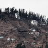 shimla