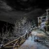 shimla