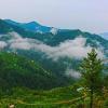 shimla