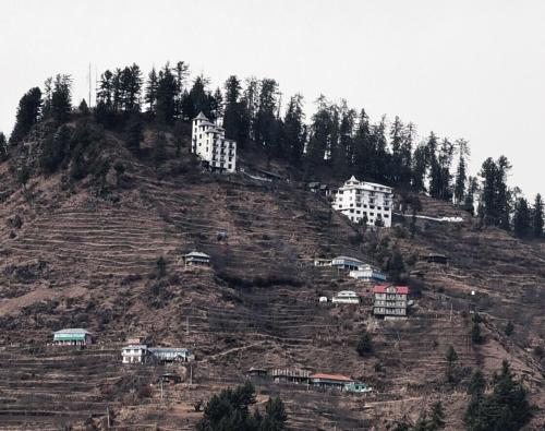 shimla