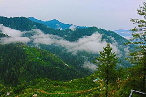 shimla