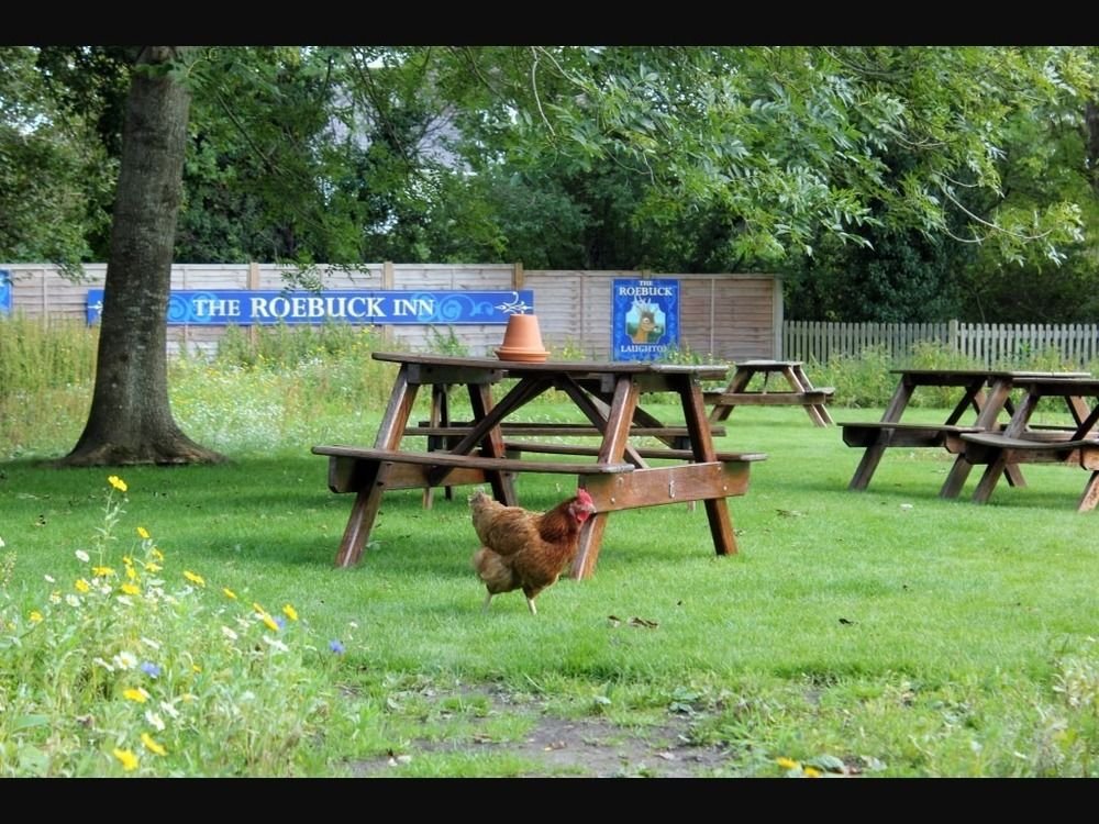 stevenage