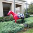 homewood suites by hilton louisville east