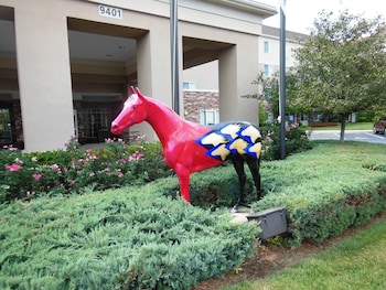 homewood suites by hilton louisville east