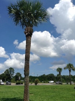 nassau holiday motel