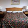skylark motel
