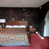 skylark motel