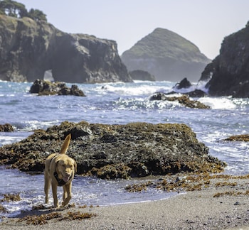The Inn At Schoolhouse Creek,California>>Albion,4 star