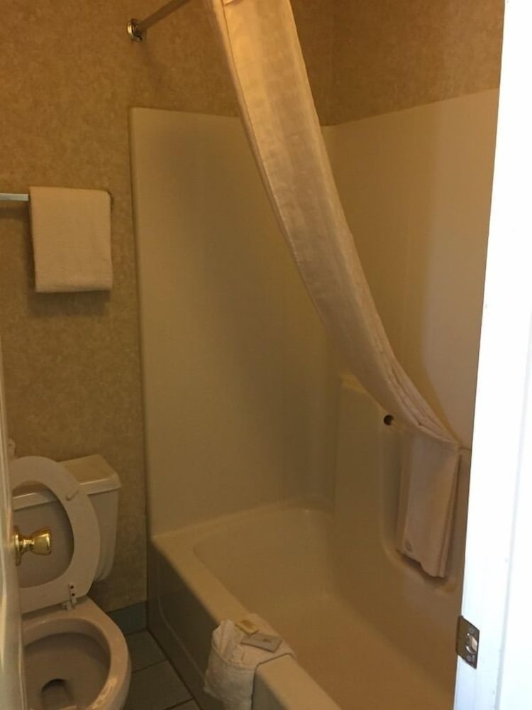 quality inn