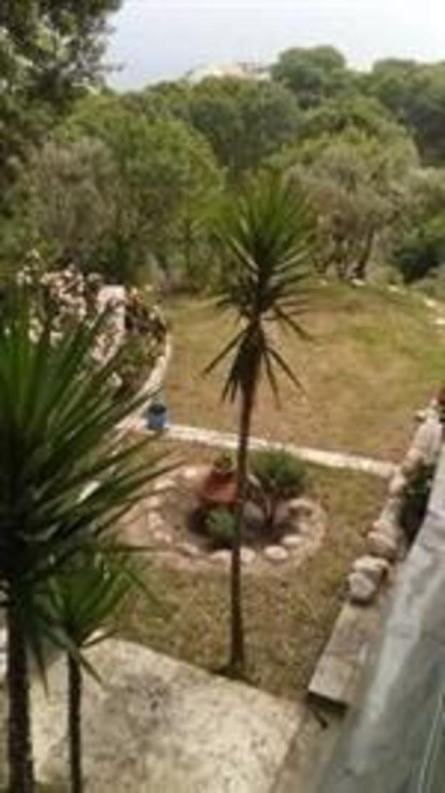 zagora mouresi