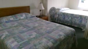 village green motel