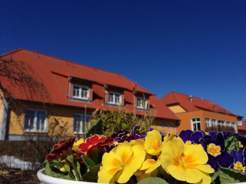 hotel and restaurant zum kap arkona
