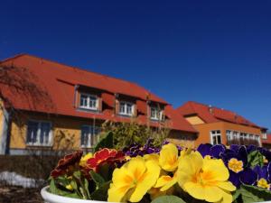 hotel and restaurant zum kap arkona
