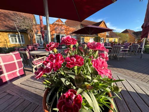 hotel and restaurant zum kap arkona