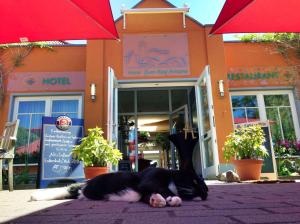 hotel and restaurant zum kap arkona