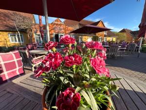 hotel and restaurant zum kap arkona