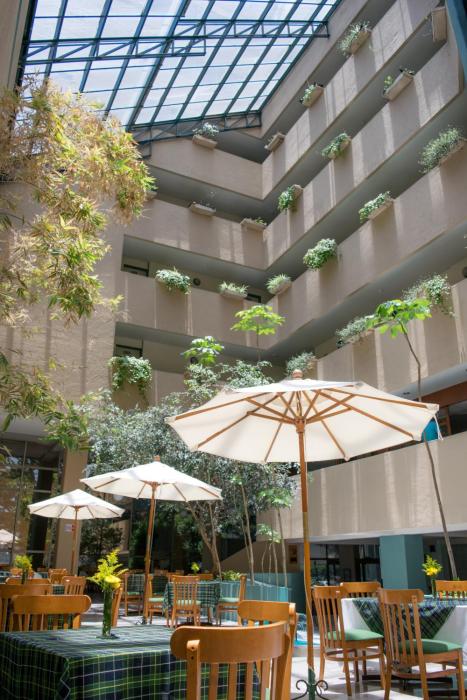 hotel san francisco toluca