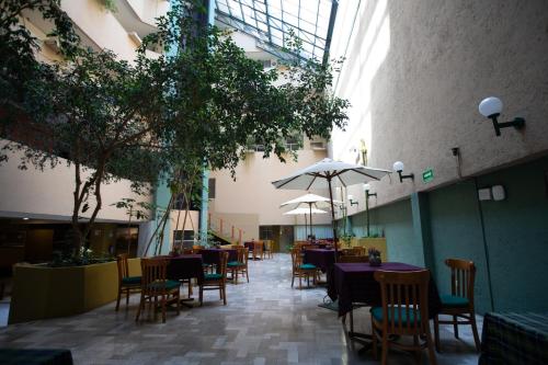 hotel san francisco toluca